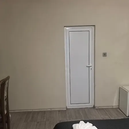 Zora Видин