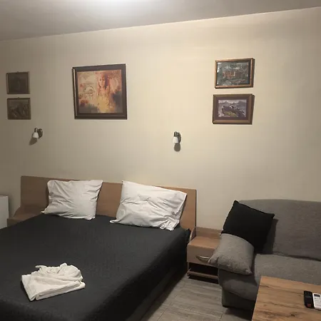 Hotel Zora Widin